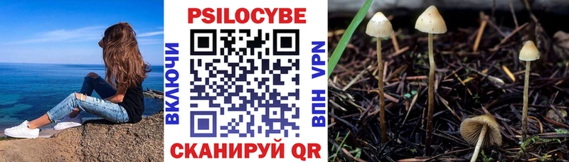 Псилоцибиновые грибы ЛСД  кракен   Бийск 